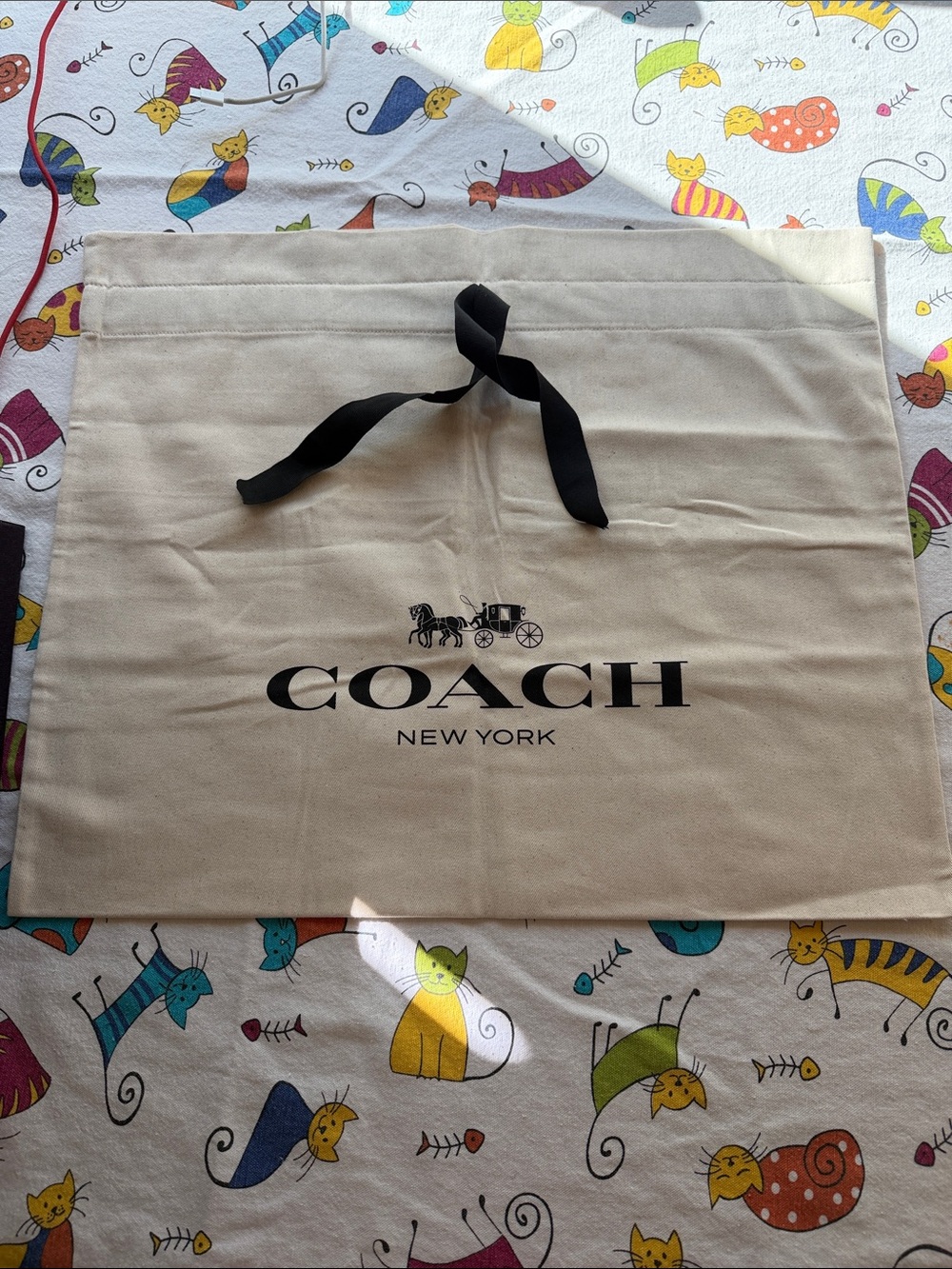 🪷 COACH DUST BAG 🪷 NWOT 🪸